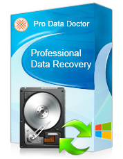 DDR Professional File Recovery Software